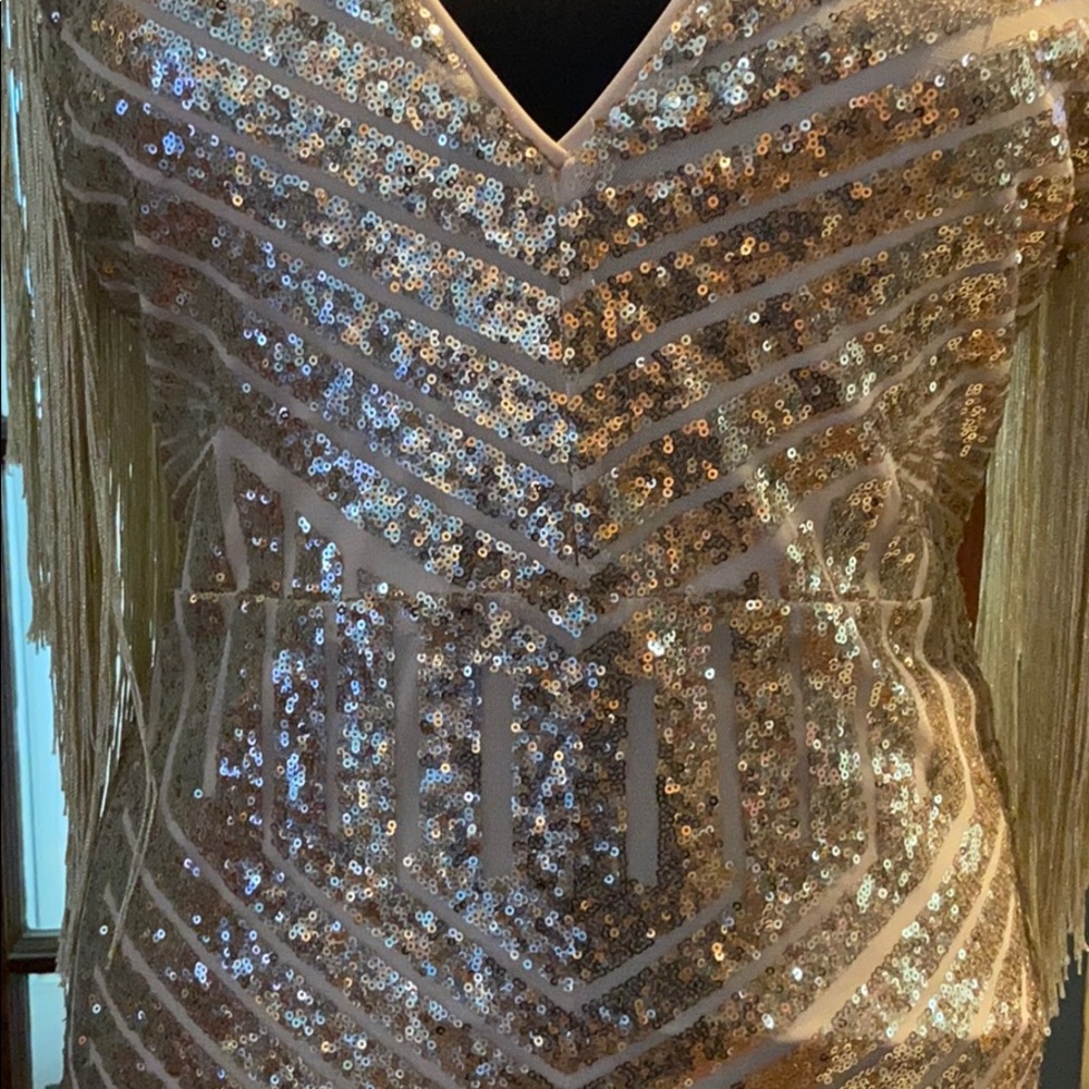 *SOLD* Sequined, fringe, gold party dress 2X - Picture 4 of 8